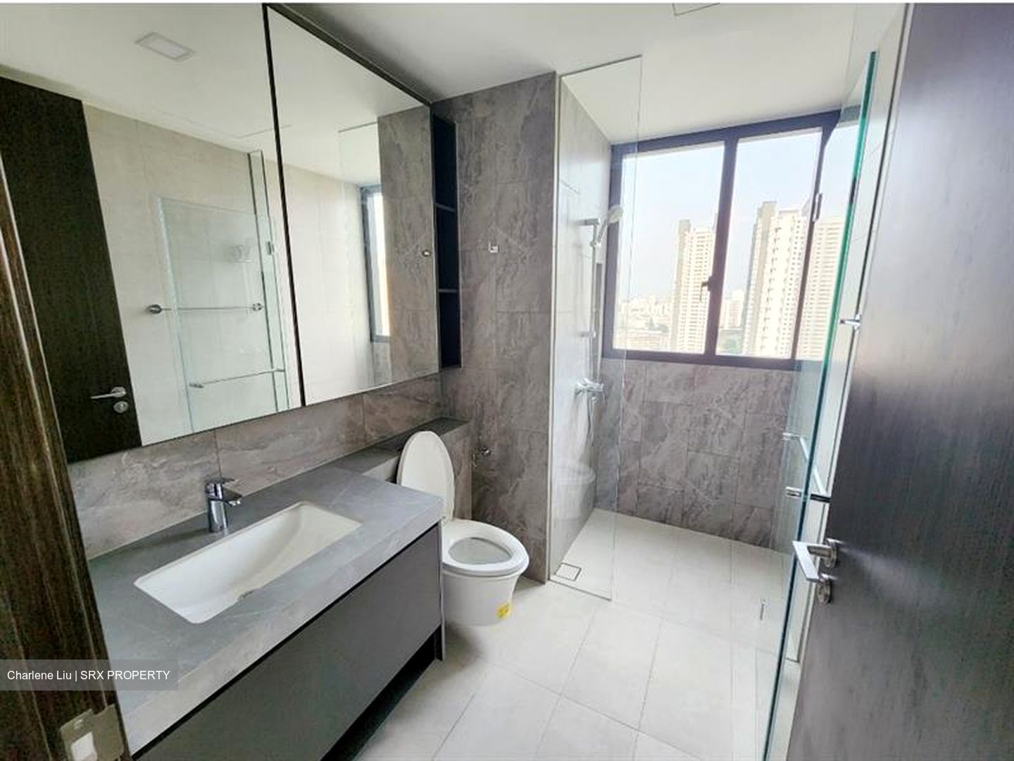 Parc Clematis (D5), Apartment #632280031